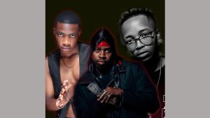 Fake'Well – Sgija Sorrow ft. Royal MusiQ, Mr JazziQ & Djy Biza