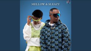 Mellow – Bazoz'funda ft. Sleazy, Scotts Maphuma & Pushkin RSA