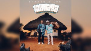 Shakes – Dubane Ft Les, Zee Nxumalo & Djy Biza